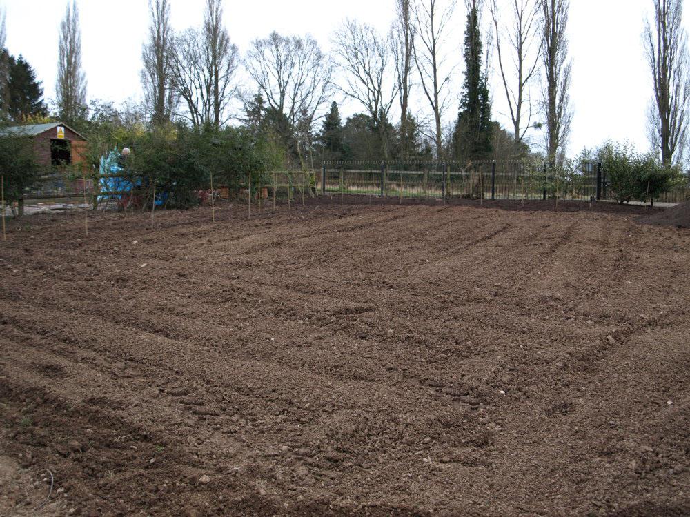 Landscaping and Design Porfolio