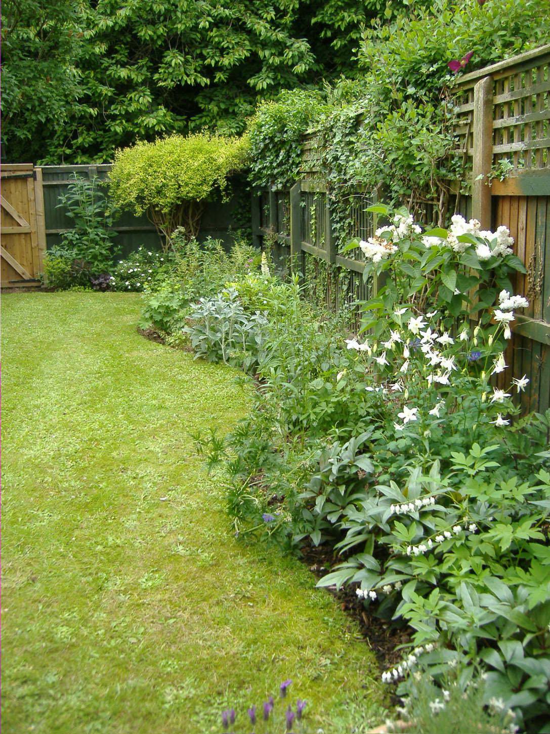 Landscaping and Design Porfolio