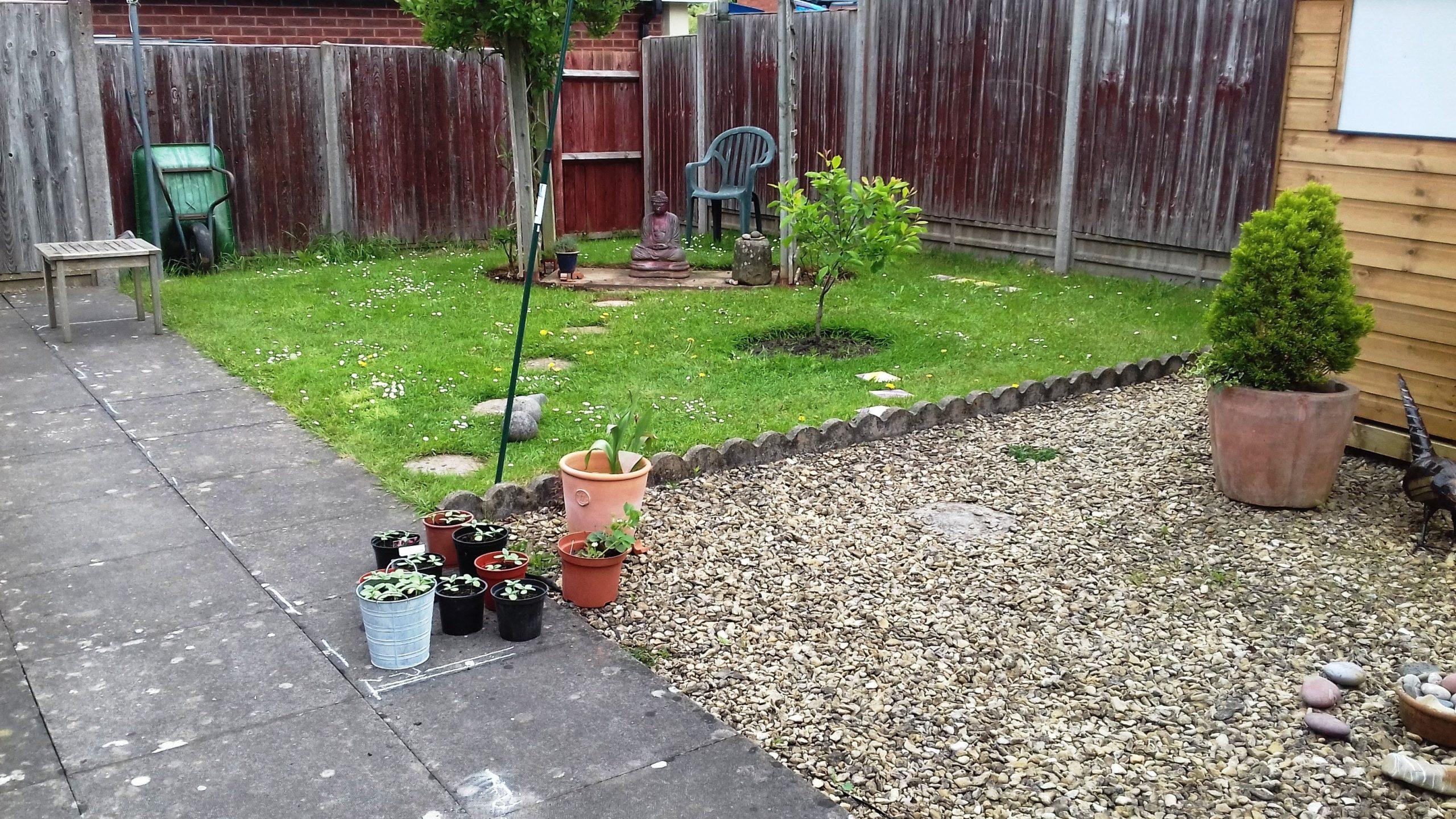 Landscaping and Design Porfolio