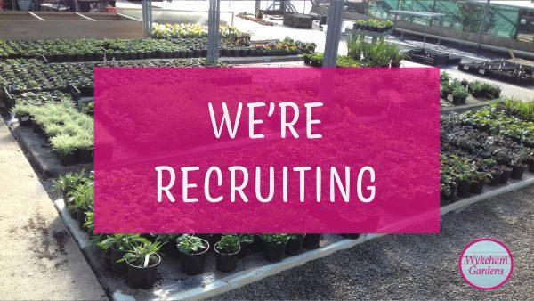 We’re Recruiting