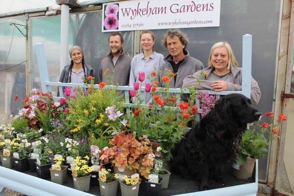 Meet the Team….