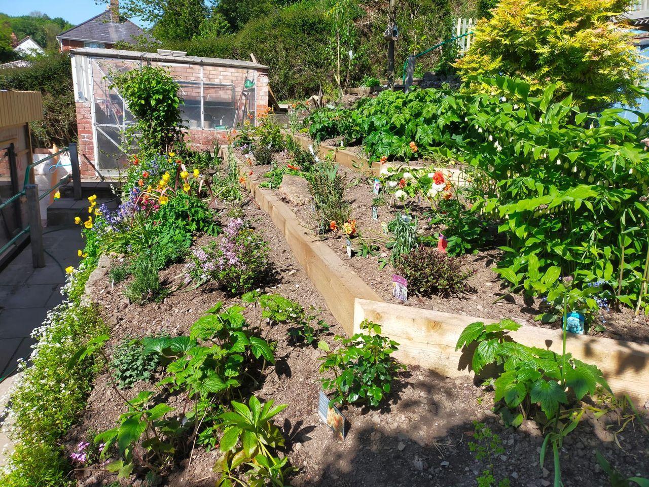 Planting a terraced garden….