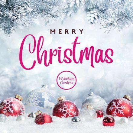 Wishing you a Merry Christmas and a Happy New Year!……