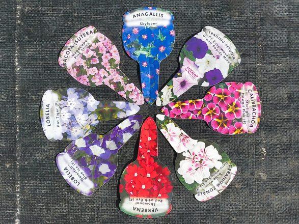 Get Summer organised!….