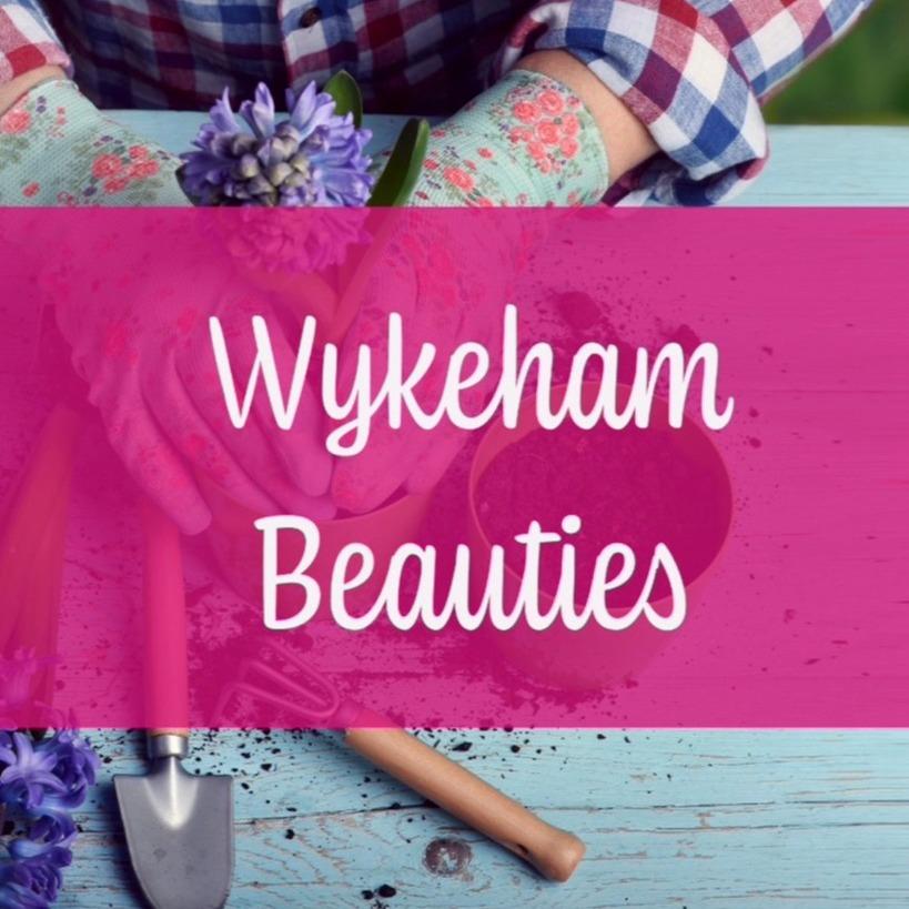 Introducing Cercis ‘Ruby Falls’ and ‘Cascading Hearts’……