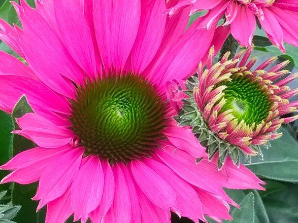 Open Again….